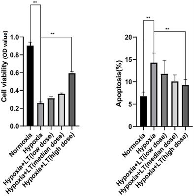 Modulation of Perturbed Cardiac Metabolism in Rats Under High-Altitude Hypoxia by Combination Treatment With L-carnitine and Trimetazidine